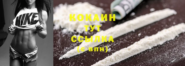 твердый Верея
