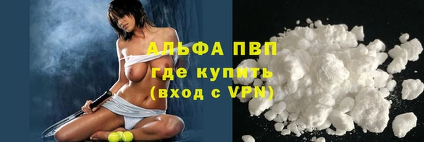 apvp Вяземский