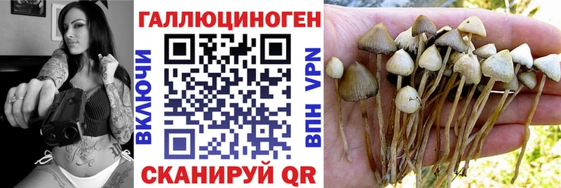 Купить Кирс Псилоцибиновые грибы ЛСД